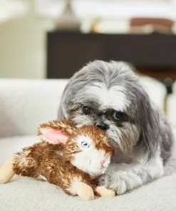 Frisco Realistic Plush Rabbit Plush Dog Toy 7 Frisco Realistic Plush Rabbit Plush Dog Toy -Dog Cat Corner 316933 PT2. SY630 V1641400634