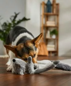 Frisco Fur Really Real Squirrel Plush Laying Squeaky Dog Toy 7 Frisco Fur Really Real Squirrel Plush Laying Squeaky Dog Toy -Dog Cat Corner 316935 PT2. SY630 V1641400940