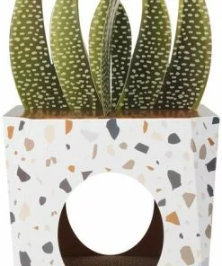 Frisco Potted Succulent Cardboard Cat House -Dog Cat Corner 317723 PT2. SY630 V1642088638
