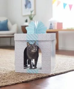 Frisco Birthday Gift Box Cardboard Cat House -Dog Cat Corner 317727 PT3. SY630 V1642099343