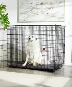 Frisco XX-Large Heavy Duty Enhanced Lock Double Door Wire Dog Crate, Fold & Carry Wire Dog Crate & Mat Kit, 54"