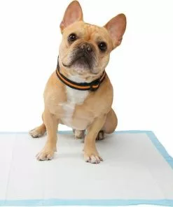 Frisco 4-Panel Plastic Exercise Playpen, Black + Dog Training & Potty Pads, 22 x 23-in, 150 count, Unscented -Dog Cat Corner 318956 PT8. SY630 V1630367179