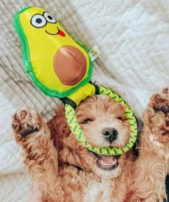 Frisco||Avo Doggo Frisco Hide and Seek Plush Guacamole Toy + Avo Doggo Avocado Dog Tug Toy -Dog Cat Corner 319052 PT7. SY630 V1630561579