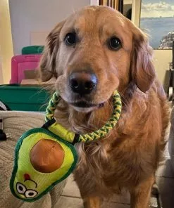 Frisco||Avo Doggo Frisco Hide and Seek Plush Guacamole Toy + Avo Doggo Avocado Dog Tug Toy -Dog Cat Corner 319052 PT8. SY630 V1630559470