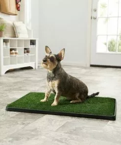 Frisco Indoor Grass Potty, 30 x 20 in + Replacement Pad, 19 x 29 in 11 Frisco Indoor Grass Potty, 30 x 20 in + Replacement Pad, 19 x 29 in -Dog Cat Corner 319056 PT3. SY630 V1630560723