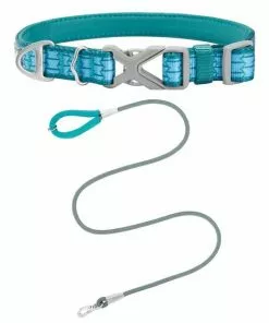 Frisco Outdoor Comfort Print Nylon Padded Collar, Large, Neck: 18 -26-in, Width: 1-in + Outdoor Ultra Reflective Rope Leash With Padded Handle, Bayou Teal, 6 - ft