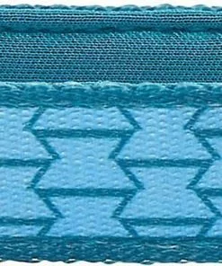 Frisco Outdoor Comfort Print Nylon Padded Collar, Large, Neck: 18 -26-in, Width: 1-in + Outdoor Ultra Reflective Rope Leash With Padded Handle, Bayou Teal, 6 - ft -Dog Cat Corner 319068 PT2. SY630 V1631160687