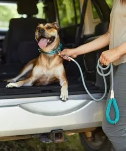 Frisco Outdoor Comfort Print Nylon Padded Collar, Large, Neck: 18 -26-in, Width: 1-in + Outdoor Ultra Reflective Rope Leash With Padded Handle, Bayou Teal, 6 - ft -Dog Cat Corner 319068 PT8. SY630 V1631154979