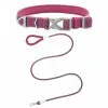 Frisco Outdoor Comfort Print Nylon Padded Collar, Large, Neck: 18 -26-in, Width: 1-in + Outdoor Ultra Reflective Rope Leash With Padded Handle, Boysenberry Purple, 6 - ft -Dog Cat Corner 319070 MAIN. SY630 V1631139670