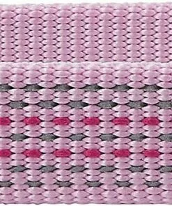 Frisco Outdoor Frisco Nylon Collar, Shadow Purple, Medium-Neck: 14-20-in, Width: 3/4-in + Rope Leash With Padded Handle, Boysenberry Purple, 6-ft -Dog Cat Corner 319112 PT2. SY630 V1631144174