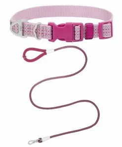Frisco Outdoor Frisco Nylon Collar, Shadow Purple, Small-Neck: 10-14-in, Width: 5/8-in + Rope Leash With Padded Handle, Boysenberry Purple, 6-ft