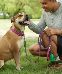 Frisco Outdoor Frisco Nylon Collar, Shadow Purple, Small-Neck: 10-14-in, Width: 5/8-in + Rope Leash With Padded Handle, Boysenberry Purple, 6-ft -Dog Cat Corner 319114 PT8. SY630 V1631148976