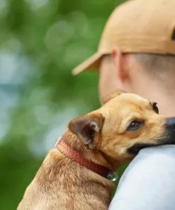 Frisco Outdoor Heathered Nylon Collar, Flamepoint Orange, Medium - Neck: 14-20-in, Width: 3/4-in + Dog Leash, Flamepoint Orange, Medium - Length: 6-ft, Width: 3/4-in 14 Frisco Outdoor Heathered Nylon Collar, Flamepoint Orange, Medium - Neck: 14-20-in, Width: 3/4-in + Dog Leash, Flamepoint Orange, Medium - Length: 6-ft, Width: 3/4-in -Dog Cat Corner 319120 PT4. SY630 V1631142689
