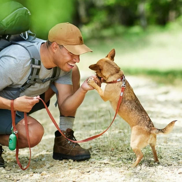 Frisco Outdoor Heathered Nylon Collar, Flamepoint Orange, Medium - Neck: 14-20-in, Width: 3/4-in + Dog Leash, Flamepoint Orange, Medium - Length: 6-ft, Width: 3/4-in 10 Frisco Outdoor Heathered Nylon Collar, Flamepoint Orange, Medium - Neck: 14-20-in, Width: 3/4-in + Dog Leash, Flamepoint Orange, Medium - Length: 6-ft, Width: 3/4-in - Image 8