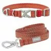 Frisco Outdoor Heathered Nylon Collar, Flamepoint Orange, Small - Neck: 10-14-in, Width: 5/8-in + Dog Leash, Flamepoint Orange, Small - Length: 6-ft, Width: 5/8-in 2 Frisco Outdoor Heathered Nylon Collar, Flamepoint Orange, Small - Neck: 10-14-in, Width: 5/8-in + Dog Leash, Flamepoint Orange, Small - Length: 6-ft, Width: 5/8-in -Dog Cat Corner 319122 MAIN. SY630 V1631146298