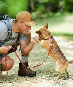 Frisco Outdoor Heathered Nylon Collar, Flamepoint Orange, Small - Neck: 10-14-in, Width: 5/8-in + Dog Leash, Flamepoint Orange, Small - Length: 6-ft, Width: 5/8-in 17 Frisco Outdoor Heathered Nylon Collar, Flamepoint Orange, Small - Neck: 10-14-in, Width: 5/8-in + Dog Leash, Flamepoint Orange, Small - Length: 6-ft, Width: 5/8-in -Dog Cat Corner 319122 PT7. SY630 V1631161616