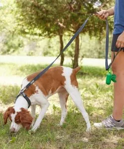 Frisco Outdoor Heathered Nylon Collar, Midnight Black, SM - Neck: 10-14-in, Width: 5/8-in + Dog Leash, Midnight Black, SM - Length: 6-ft, Width: 5/8-in -Dog Cat Corner 319128 PT7. SY630 V1631142671