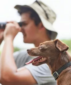 Frisco Outdoor Heathered Nylon Collar, Midnight Black, XS, Neck: 8-12-in, Width: 5/8th -in + Dog Leash, Midnight Black, SM - Length: 6-ft, Width: 5/8-in 14 Frisco Outdoor Heathered Nylon Collar, Midnight Black, XS, Neck: 8-12-in, Width: 5/8th -in + Dog Leash, Midnight Black, SM - Length: 6-ft, Width: 5/8-in -Dog Cat Corner 319130 PT4. SY630 V1631146590