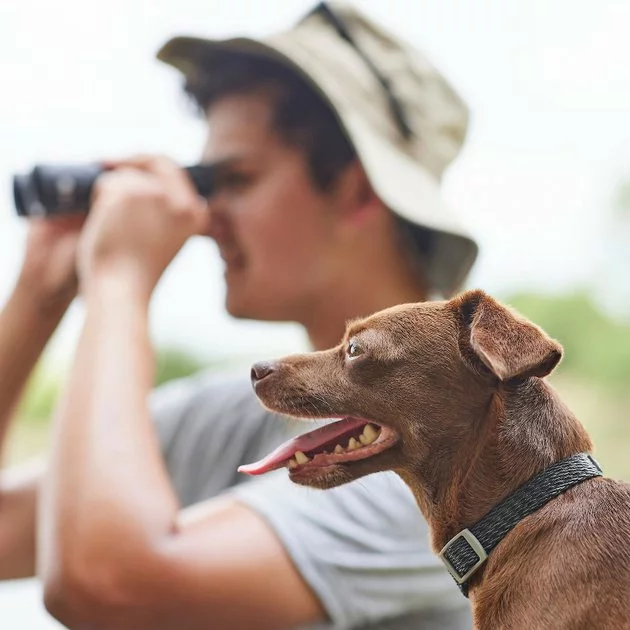 Frisco Outdoor Heathered Nylon Collar, Midnight Black, XS, Neck: 8-12-in, Width: 5/8th -in + Dog Leash, Midnight Black, SM - Length: 6-ft, Width: 5/8-in 7 Frisco Outdoor Heathered Nylon Collar, Midnight Black, XS, Neck: 8-12-in, Width: 5/8th -in + Dog Leash, Midnight Black, SM - Length: 6-ft, Width: 5/8-in - Image 5