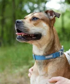 Frisco Outdoor Heathered Nylon Collar, River Blue, Medium - Neck: 14-20-in, Width: 3/4-in + Dog Leash, River Blue, Medium - Length: 6-ft, Width: 3/4-in 14 Frisco Outdoor Heathered Nylon Collar, River Blue, Medium - Neck: 14-20-in, Width: 3/4-in + Dog Leash, River Blue, Medium - Length: 6-ft, Width: 3/4-in -Dog Cat Corner 319136 PT4. SY630 V1631142090