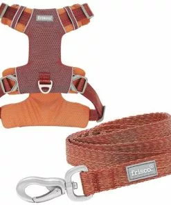 Frisco Outdoor Lightweight Ripstop Nylon Harness, Flamepoint Orange, Extra Large, Neck: 22 to 34-in, Girth: 32 to 44-in + Heathered Dog Leash, Flamepoint Orange, Large - Length: 6-ft, Width: 1-in