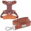 Frisco Outdoor Lightweight Ripstop Nylon Harness, Flamepoint Orange, Large, Neck: 18 to 28-in, Girth 24 to 34-in + Heathered Dog Leash, Flamepoint Orange, Large - Length: 6-ft, Width: 1-in 1 Frisco Outdoor Lightweight Ripstop Nylon Harness, Flamepoint Orange, Large, Neck: 18 to 28-in, Girth 24 to 34-in + Heathered Dog Leash, Flamepoint Orange, Large - Length: 6-ft, Width: 1-in -Dog Cat Corner 319152 MAIN. SY630 V1631147795