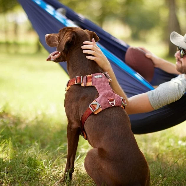 Frisco Outdoor Lightweight Ripstop Nylon Harness, Flamepoint Orange, Large, Neck: 18 to 28-in, Girth 24 to 34-in + Heathered Nylon Collar, Flamepoint Orange, Large, Neck: 18 -26-in, Width: 1-in 7 Frisco Outdoor Lightweight Ripstop Nylon Harness, Flamepoint Orange, Large, Neck: 18 to 28-in, Girth 24 to 34-in + Heathered Nylon Collar, Flamepoint Orange, Large, Neck: 18 -26-in, Width: 1-in - Image 5