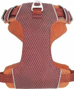Frisco Outdoor Lightweight Ripstop Nylon Harness, Flamepoint Orange, Small, Neck: 13 to 19-in, Girth: 16 to 22-in + Heathered Dog Leash, Flamepoint Orange, Small - Length: 6-ft, Width: 5/8-in 13 Frisco Outdoor Lightweight Ripstop Nylon Harness, Flamepoint Orange, Small, Neck: 13 to 19-in, Girth: 16 to 22-in + Heathered Dog Leash, Flamepoint Orange, Small - Length: 6-ft, Width: 5/8-in -Dog Cat Corner 319160 PT2. SY630 V1631151086