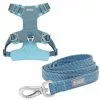 Frisco Outdoor Lightweight Ripstop Nylon Harness, River Blue, Extra Large, Neck: 22 to 34-in, Girth: 32 to 44-in + Heathered Dog Leash, River Blue, Large - Length: 6-ft, Width: 1-in 1 Frisco Outdoor Lightweight Ripstop Nylon Harness, River Blue, Extra Large, Neck: 22 to 34-in, Girth: 32 to 44-in + Heathered Dog Leash, River Blue, Large - Length: 6-ft, Width: 1-in -Dog Cat Corner 319164 MAIN. SY630 V1631153500