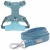 Frisco Outdoor Lightweight Ripstop Nylon Harness, River Blue, Large, Neck: 18 to 28-in, Girth 24 to 34-in + Heathered Dog Leash, River Blue, Large - Length: 6-ft, Width: 1-in -Dog Cat Corner 319168 MAIN. SY630 V1631141787