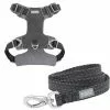 Frisco Outdoor Lightweight Ripstop Nylon Harness, Storm Gray, Extra Large, Neck: 22 to 34-in, Girth: 32 to 44-in + Heathered Dog Leash, Midnight Black, LG - Length: 6-ft, Width: 1-in -Dog Cat Corner 319196 MAIN. SY630 V1631151688