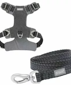Frisco Outdoor Lightweight Ripstop Nylon Harness, Storm Gray, Extra Large, Neck: 22 to 34-in, Girth: 32 to 44-in + Heathered Dog Leash, Midnight Black, LG - Length: 6-ft, Width: 1-in