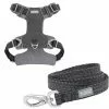 Frisco Outdoor Lightweight Ripstop Nylon Harness, Storm Gray, Large, Neck: 18 to 28-in, Girth 24 to 34-in + Heathered Dog Leash, Midnight Black, LG - Length: 6-ft, Width: 1-in -Dog Cat Corner 319200 MAIN. SY630 V1631142991