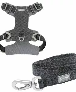 Frisco Outdoor Lightweight Ripstop Nylon Harness, Storm Gray, Large, Neck: 18 to 28-in, Girth 24 to 34-in + Heathered Dog Leash, Midnight Black, LG - Length: 6-ft, Width: 1-in