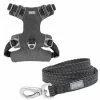Frisco Outdoor Lightweight Ripstop Nylon Harness, Storm Gray, Small, Neck: 13 to 19-in, Girth: 16 to 22-in + Heathered Dog Leash, Midnight Black, SM - Length: 6-ft, Width: 5/8-in -Dog Cat Corner 319208 MAIN. SY630 V1631150492
