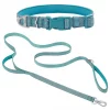 Frisco Outdoor Nylon Reflective Comfort Padded Collar, Bayou Teal, Extra Small, Neck: 8-12-in, Width: 5/8th-in + Dog Leash, Bayou Teal, Small - Length: 6-ft, Width: 5/8-in -Dog Cat Corner 319212 MAIN. SY630 V1631140273
