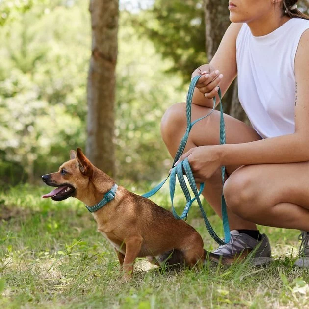 Frisco Outdoor Nylon Reflective Comfort Padded Collar, Bayou Teal, Extra Small, Neck: 8-12-in, Width: 5/8th-in + Dog Leash, Bayou Teal, Small - Length: 6-ft, Width: 5/8-in 11 Frisco Outdoor Nylon Reflective Comfort Padded Collar, Bayou Teal, Extra Small, Neck: 8-12-in, Width: 5/8th-in + Dog Leash, Bayou Teal, Small - Length: 6-ft, Width: 5/8-in - Image 9