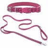 Frisco Outdoor Nylon Reflective Comfort Padded Collar, Boysenberry Purple, Extra Small, Neck: 8-12-in, Width: 5/8th -in + Dog Leash, Boysenberry Purple, Small - Length: 6-ft, Width: 5/8-in 1 Frisco Outdoor Nylon Reflective Comfort Padded Collar, Boysenberry Purple, Extra Small, Neck: 8-12-in, Width: 5/8th -in + Dog Leash, Boysenberry Purple, Small - Length: 6-ft, Width: 5/8-in -Dog Cat Corner 319220 MAIN. SY630 V1631148085