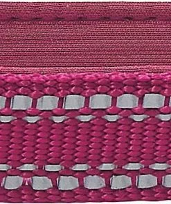 Frisco Outdoor Nylon Reflective Comfort Padded Collar, Boysenberry Purple, Extra Small, Neck: 8-12-in, Width: 5/8th -in + Dog Leash, Boysenberry Purple, Small - Length: 6-ft, Width: 5/8-in -Dog Cat Corner 319220 PT2. SY630 V1631154092