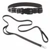 Frisco Outdoor Nylon Reflective Comfort Padded Collar, Midnight Black, MD - Neck: 14-20-in, Width: 3/4-in + Dog Leash, Midnight Black, MD - Length: 6-ft, Width: 3/4-in -Dog Cat Corner 319230 MAIN. SY630 V1631154738