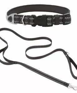 Frisco Outdoor Nylon Reflective Comfort Padded Collar, Midnight Black, MD - Neck: 14-20-in, Width: 3/4-in + Dog Leash, Midnight Black, MD - Length: 6-ft, Width: 3/4-in