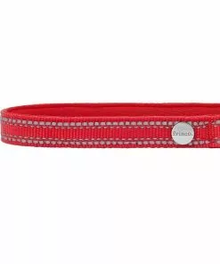 Frisco Outdoor Nylon Reflective Comfort Padded Collar, Sunset Orange, Medium - Neck: 14-20-in, Width: 3/4-in + Dog Leash, Sunset Orange, Medium - Length: 6-ft, Width: 3/4-in -Dog Cat Corner 319240 PT2. SY630 V1631146880