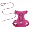 Frisco Outdoor Premium Ripstop Nylon Harness with Pocket, Boysenberry Purple, Extra Large, Neck: 22 to 34-in, Girth: 32 to 44-in + Waterproof Stinkproof PVC Rope Leash, Shadow Purple, 6 Ft. -Dog Cat Corner 319272 MAIN. SY630 V1631206296