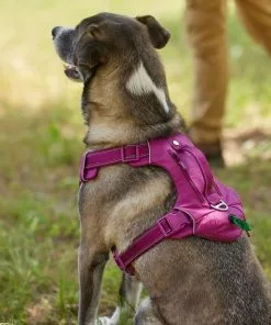 Frisco Outdoor Premium Ripstop Nylon Harness with Pocket, Boysenberry Purple, Extra Large, Neck: 22 to 34-in, Girth: 32 to 44-in + Waterproof Stinkproof PVC Rope Leash, Shadow Purple, 6 Ft. -Dog Cat Corner 319272 PT4. SY630 V1631206271