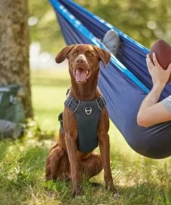 Frisco Outdoor Premium Ripstop Nylon Harness with Pocket, Midnight Black, XL - Girth: 32-44-in + Reflective Comfort Padded Dog Collar, Midnight Black, LG, Neck: 18 -26-in, Width: 1-in -Dog Cat Corner 319304 PT4. SY630 V1631148069