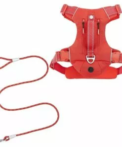 Frisco Outdoor Premium Ripstop Nylon Harness with Pocket, Sunset Orange, Extra Large, Neck: 22 to 34-in, Girth: 32 to 44-in + Waterproof Stinkproof PVC Rope Leash, Sunset Orange, 6 Ft.