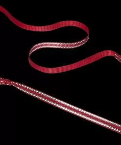 Frisco Outdoor Premium Ripstop Nylon Harness with Pocket, Sunset Orange, Large, Neck: 18 to 28-in, Girth 24 to 34-in + Reflective Comfort Padded Dog Leash, Sunset Orange, Large - Length: 6-ft, Width: 1-in -Dog Cat Corner 319316 PT7. SY630 V1631150488