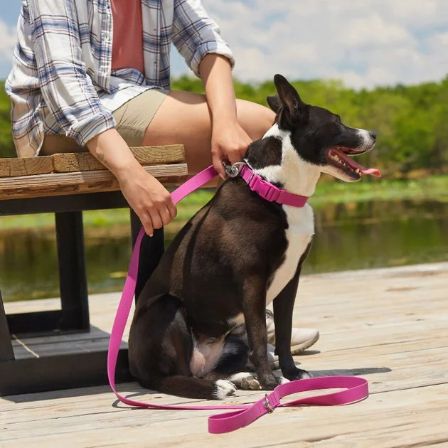 Frisco Outdoor Solid Textured Waterproof Stink Proof PVC Collar, Boysenberry Purple, Large, Neck: 18 ½ 26-in, Width: 1-in + Dog Leash, Boysenberry Purple, Large - Length: 6-ft, Width: 1-in 10 Frisco Outdoor Solid Textured Waterproof Stink Proof PVC Collar, Boysenberry Purple, Large, Neck: 18 ½ 26-in, Width: 1-in + Dog Leash, Boysenberry Purple, Large - Length: 6-ft, Width: 1-in - Image 8