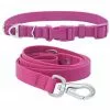 Frisco Outdoor Solid Textured Waterproof Stink Proof PVC Collar, Boysenberry Purple, Small - Neck: 10½14-in, Width: 5/8-in + Dog Leash, Boysenberry Purple, Small - Length: 6-ft, Width: 5/8-in 1 Frisco Outdoor Solid Textured Waterproof Stink Proof PVC Collar, Boysenberry Purple, Small - Neck: 10½14-in, Width: 5/8-in + Dog Leash, Boysenberry Purple, Small - Length: 6-ft, Width: 5/8-in -Dog Cat Corner 319338 MAIN. SY630 V1631159770