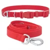 Frisco Outdoor Solid Textured Waterproof Stink Proof PVC Collar, Flamepoint Orange, Medium - Neck: 14½20-in, Width: 3/4-in + Dog Leash, Sunset Orange, Medium - Length: 6-ft, Width: 3/4-in -Dog Cat Corner 319344 MAIN. SY630 V1631141790